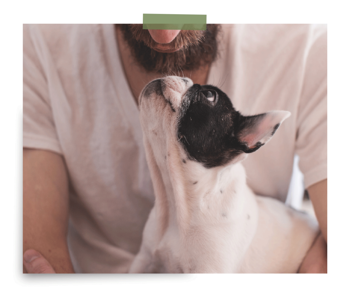 All-Pets_Image_ManDOg.png