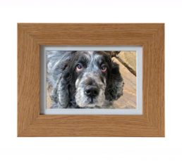 All-Pets-Micro-Frame-357x317