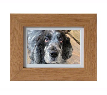 All-Pets-Micro-Frame-357x317.jpg