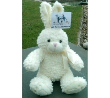 Memory-Bunny.jpg