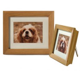 photo frame pet ashes