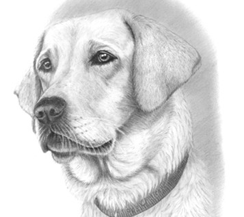 Pencil-Portrait.jpg