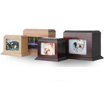 Picture-Box.jpg