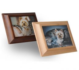 Picture-Frame