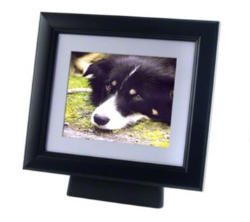 The-Tribute-FramePod-2.jpg