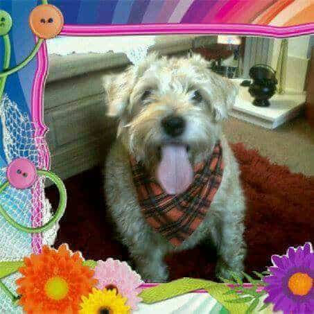 Lucy-Karen-Wragg.jpg