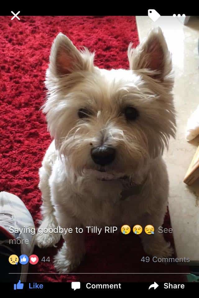 Tilly-Pam-Rogerson-Beighton.jpg