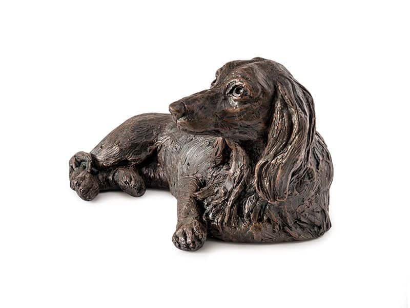 Dachshund-Long-Hair.jpeg