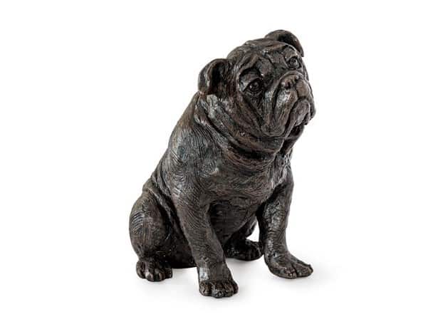 Bulldog.jpg