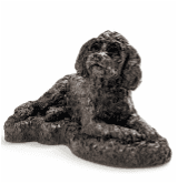 Cockapoo.png