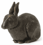 Rabbit.png