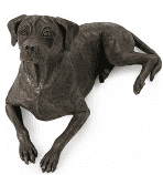 Rhodesian.png