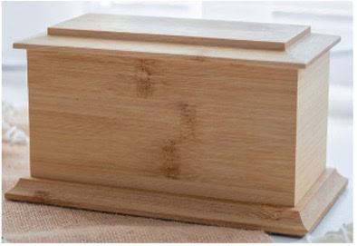 arun-casket.jpg