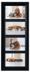 tribute-frame-black.png