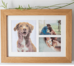 tribute frame oak 1