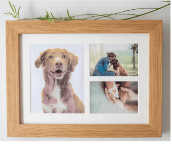 tribute-frame-oak-1.png