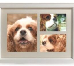 tribute frame white1