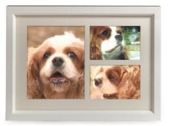 tribute-frame-white1.jpg