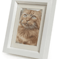 tribute frame white2
