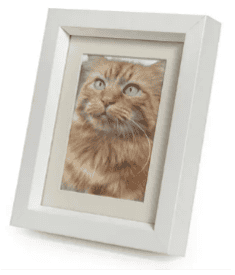 tribute-frame-white2.png